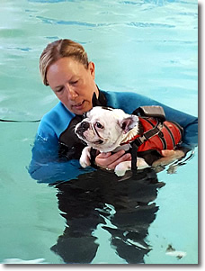 Cherrytree Canine  Hydrotherapy Kent -  Gallery 1